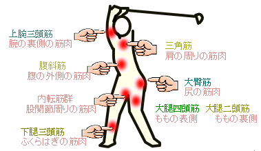 Golfの為の身体つくり 飛距離アップ コントロール充実の為の体幹トレーニング カルチャースクール Enjoy Life Club